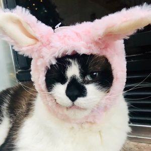 Meet your Posher, Florence